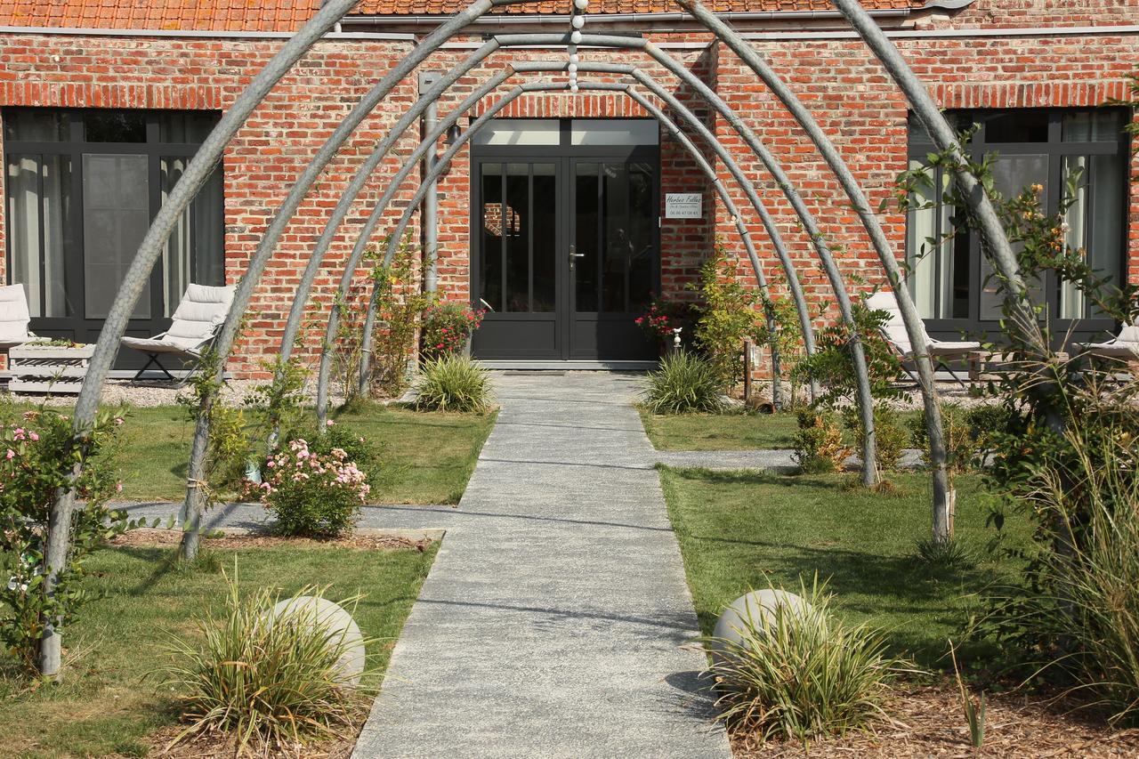 Chambres D'Hotes Herbes Folles Steenwerck Exteriér fotografie
