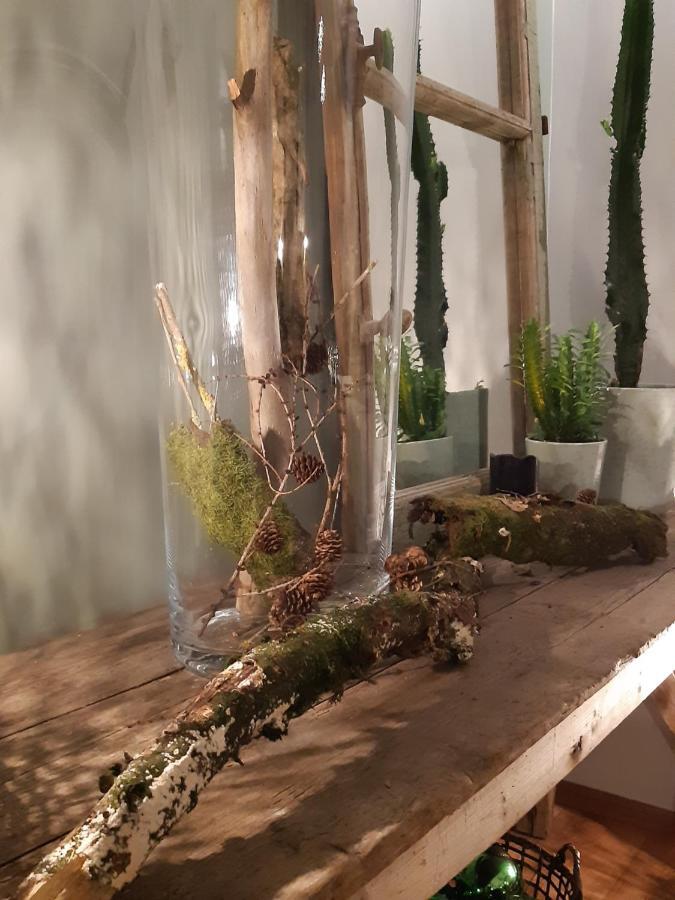 Chambres D'Hotes Herbes Folles Steenwerck Exteriér fotografie